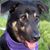 Janette Judd's profile image