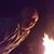 Dottie Brewer's profile image