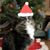 Tricia McTague's profile image