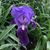 Liz Bailey Christman's profile image