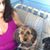 Judy Johnson's profile image