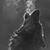 Nurten Ak's profile image