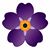 Hike Sahakian's profile image