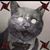 Noah Haynes's profile image
