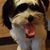 Victoria Poulin's profile image