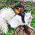 Jason Hicks's profile image
