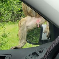 Nick Long's profile image