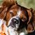 Virginie Dho's profile image