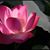 Cristy B Rallod's profile image