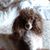 Dee Hagerty's profile image