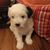 Terri Snyder Lasby's profile image