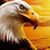 Michael Joseph Yeager's profile image
