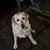 Sandy Shein's profile image