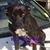 Rhonda Armlin's profile image