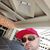 Dee Michael's profile image