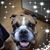 Utah Dyer's profile image