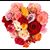 Janice Bendolph's profile image
