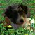 Mike Bolduc's profile image