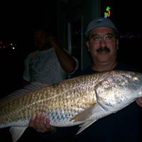 Mike Engel's profile image