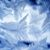 Cindy Pacconi's profile image