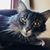 Amanda Marotz Roemer's profile image