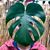 Rachael Mundell's profile image