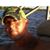 Greg Gatto's profile image