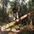 Jefferson Aleman's profile image