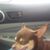 Antonio Jay Duran's profile image