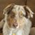 Debbie Damato's profile image
