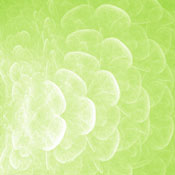 rusk's profile image