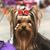 Natalie Amies's profile image