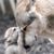 Tammy Lange Gayhart's profile image