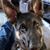 Karen Poulson's profile image