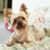 Tammie Felton's profile image
