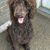 Kevin Campbell's profile image