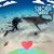 Martin Graf's profile image