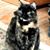 Linda Green's profile image
