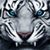 D Felice Baker's profile image