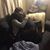 Alisa Mavrotheris's profile image