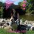 Sheri Martin's profile image
