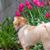Stacy Corbo's profile image