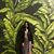 Jackie Hyman's profile image