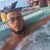 Danii Ortiz's profile image