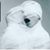 Rebecca Jaspers's profile image
