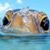 Crystal Clark's profile image
