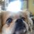Carol Gordon's profile image