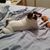 Erin Passon's profile image