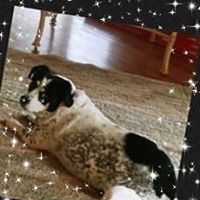 Traci Tayhopper Kilgore's profile image