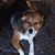 David Bousquet's profile image